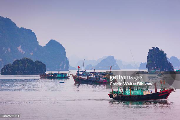 vietnam, halong city, exterior - halong bay stock-fotos und bilder