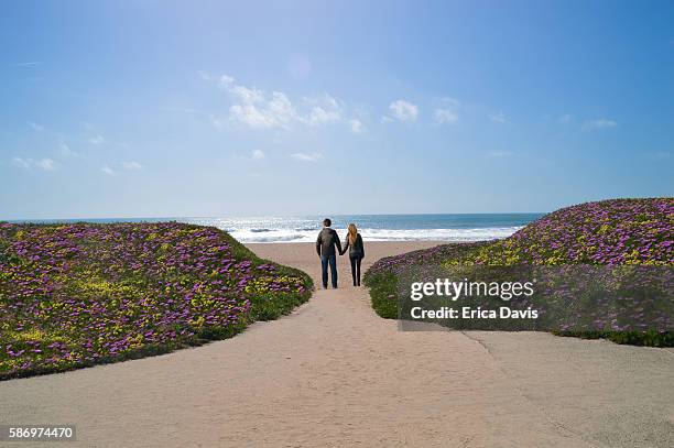 half moon bay, california, couple enjoying, wildflowers and ocean views. - condado de san mateo imagens e fotografias de stock