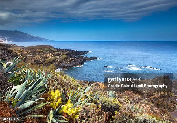 coastal landscape in canary islands, la palma - puerto del carmen stock pictures, royalty-free photos & images