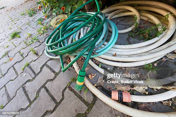 coiled garden hoses in backyard - black eyed susan vine stock pictures, royalty-free photos & images