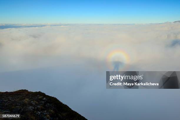 brocken spectre, rainbow over shadow of a man - brockengespenst stock-fotos und bilder