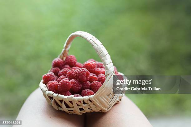 woman legs with a fresh raspberries - frambuesas stock-fotos und bilder