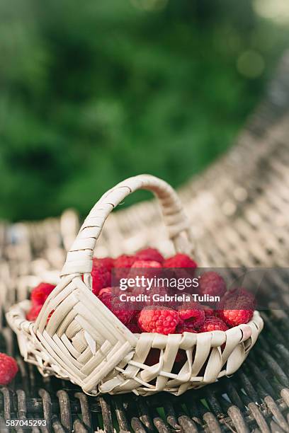 basket full of raspberries - framboises stock-fotos und bilder