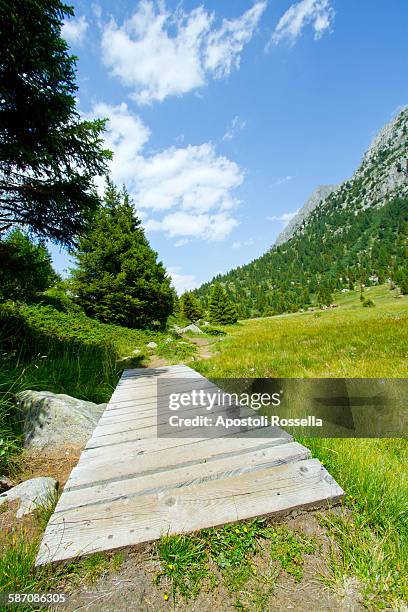trekking in the park of adamello - adamello brenta nationalpark stock-fotos und bilder