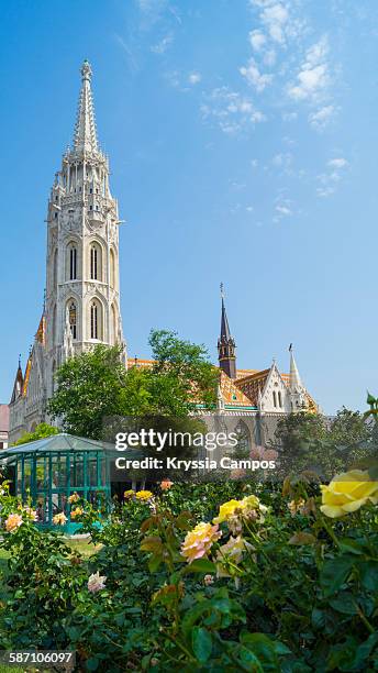 matthias church (mátyás-templom) budapest - fishermen's bastion stock pictures, royalty-free photos & images