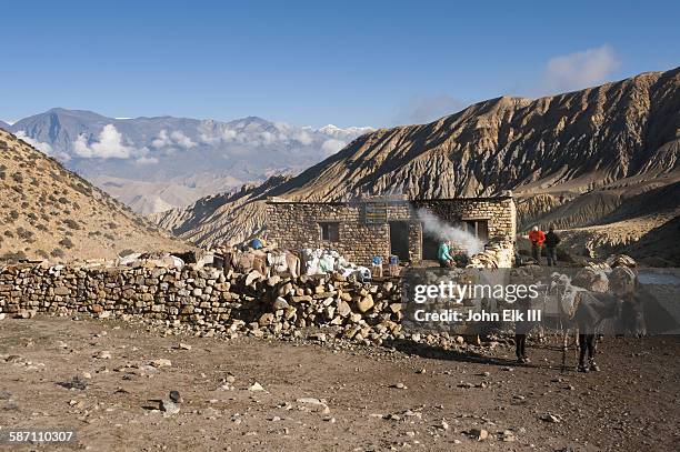 nepalese shepherds' hut with pack mules - shepherds hut stock pictures, royalty-free photos & images