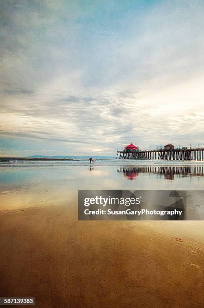 surfer emeres from ocean - huntington beach foto e immagini stock