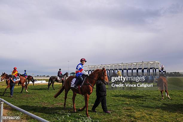 General view of starting gates during the Cranbourne barrier trials on August 8, 2016 in Cranbourne, Australia.