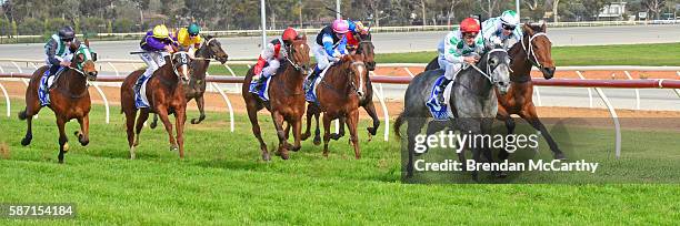 She's Just Lika ridden by Jarrod Fry wins Vetta Spaghetti BM58 Handicap at Swan Hill Racecourse on August 08, 2016 in Swan Hill, Australia.