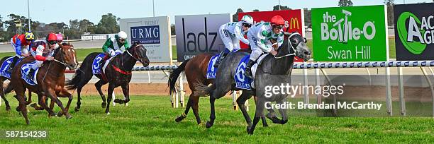 She's Just Lika ridden by Jarrod Fry wins Vetta Spaghetti BM58 Handicap at Swan Hill Racecourse on August 08, 2016 in Swan Hill, Australia.