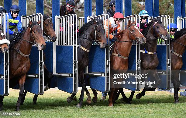 Nick Hall riding Hellman, Mark Zahra riding Fast and Furious, Stephen Baster riding Rhyola, Chris Parnham riding Eureka Street compete in heat 6...