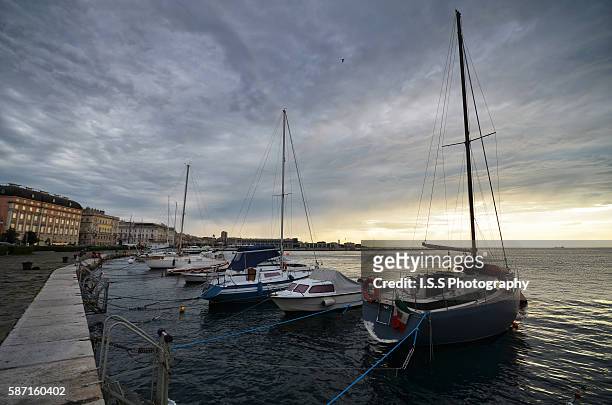 sailboats in marina, trieste, italy during sunset - triest stock-fotos und bilder