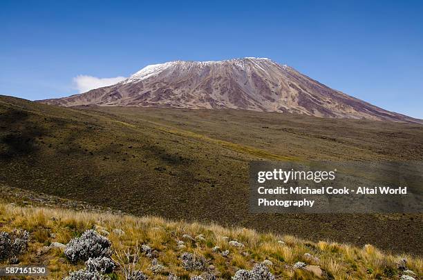 view of mt. kilimanjaro across "the saddle" - äquator stock-fotos und bilder