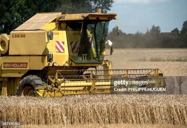 This photo taken on August 8, 2016 in Steenwerch, north France, shows a tractor crossing a field of wheat. The European cereal markets were up on...