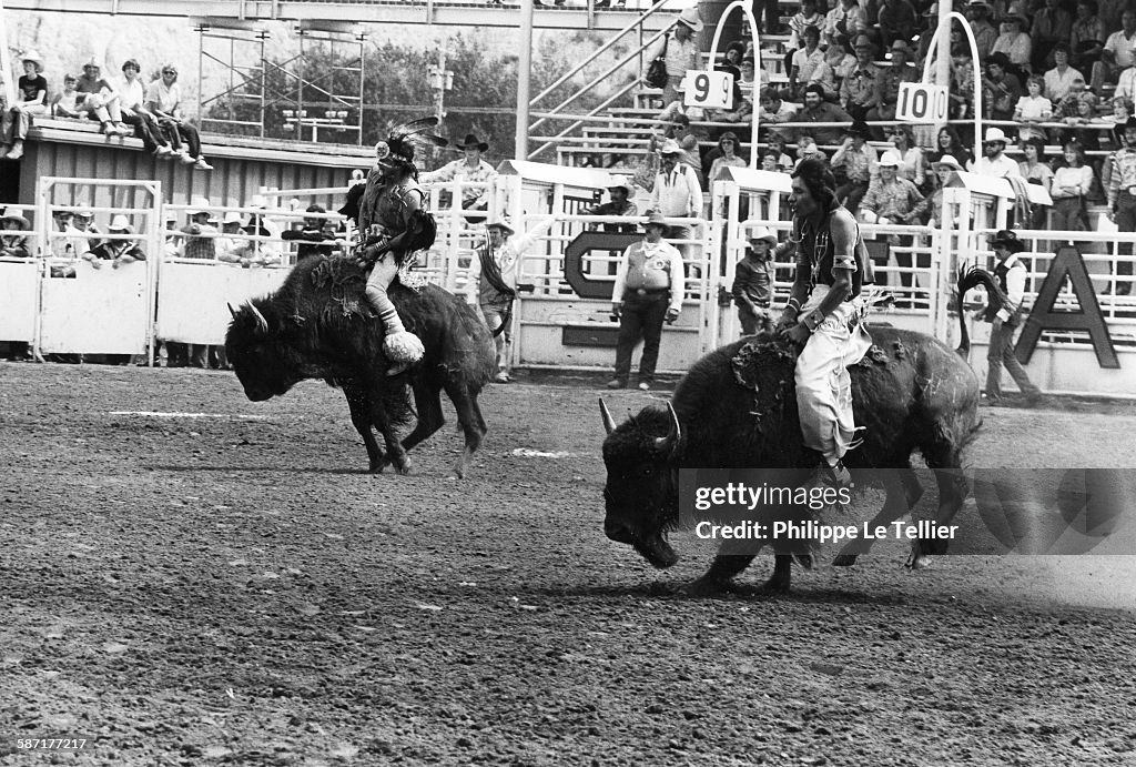 Bison Rodeo Rodeo show with bisons of Calgary in Canada, 1983. News Photo - Getty ...