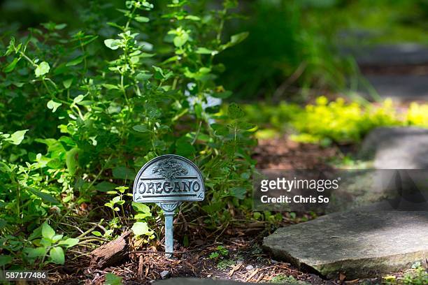 An oregano marker stake in the herb garden is one of several small vignettes in the back yard of Alexandra Risen, author of Unearthed. TheToronto...