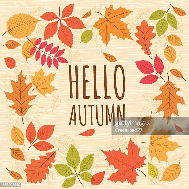 ilustraciones, imágenes clip art, dibujos animados e iconos de stock de otoño hojas de fondo  - hello