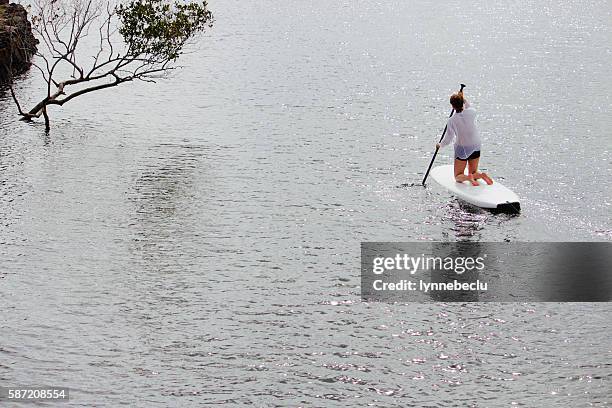 paddle boarding on the river - brunswick heads nsw stock pictures, royalty-free photos & images