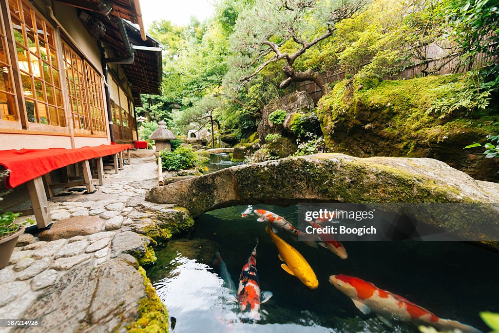 Japanese Koi Pond and Garden Outside Kyoto Japan Kissaten Restaurant