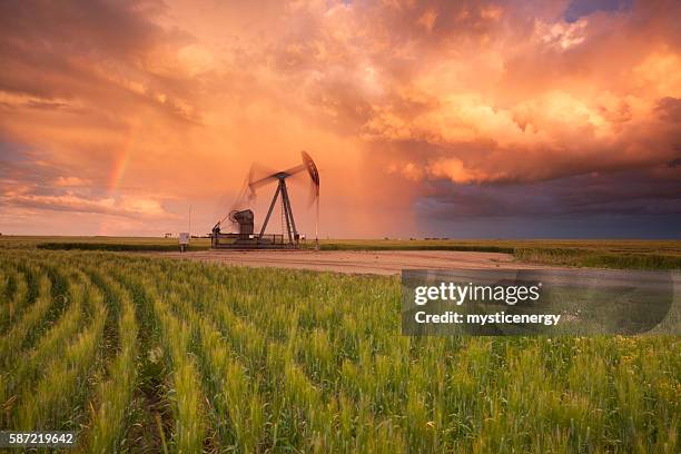 prärieöl saskatchewan - erdölpumpe stock-fotos und bilder