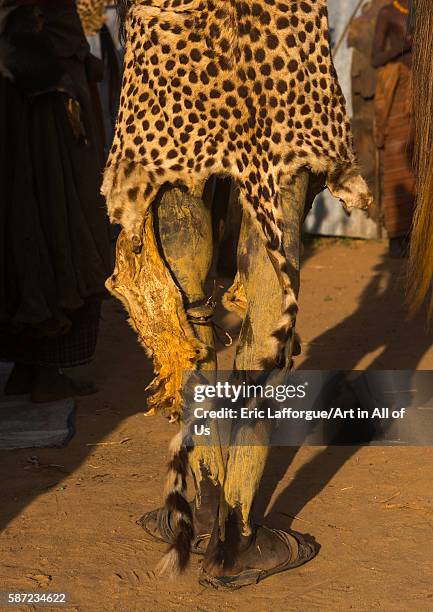 Dassanech man with a leopard skin during dimi ceremony to celebrate circumcision of the teenagers, omo valley, omorate, Ethiopia on March 21, 2016 in...