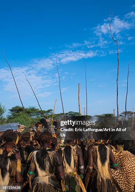 Dassanech men with leopard skins and ostrich feathers headwears during dimi ceremony to celebrate circumcision of teenagers, omo valley, omorate,...