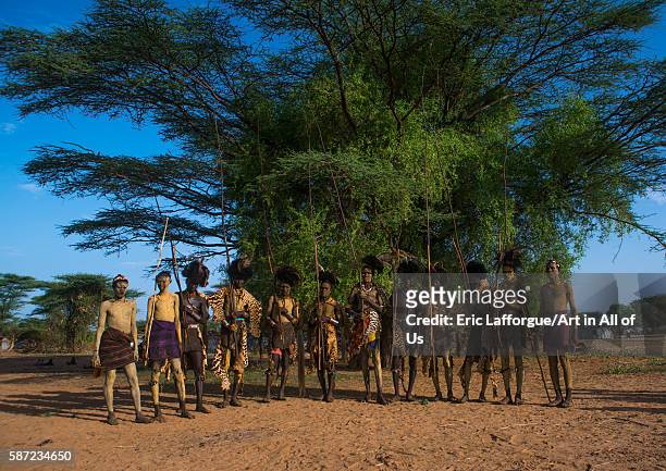 Dassanech men with leopard skins and ostrich feathers headwears during dimi ceremony to celebrate circumcision of teenagers, omo valley, omorate,...