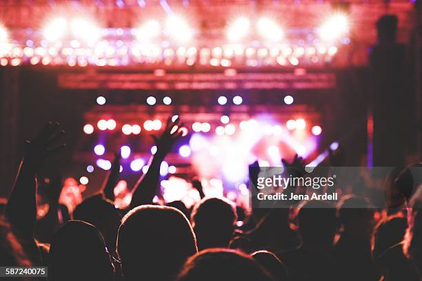 concert crowd - コンサートホール ストックフォトと画像