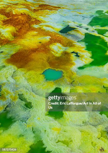 The colorful potassium salt crust formed by hot springs in the danakil depression, afar region, dallol, Ethiopia on February 26, 2016 in Dallol,...