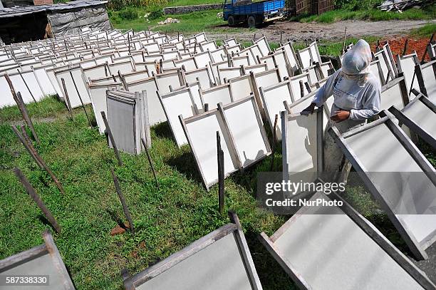 Shova Gurung, 20 yrs. Old, studying in grade 12, helps her mother to set dry Nepalese traditional handmade lokta paper in the sun at Bhumisthal,...