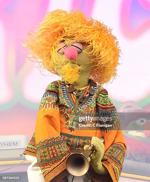 154 Dr Teeth And The Electric Mayhem Stock Photos, High-Res Pictures ...