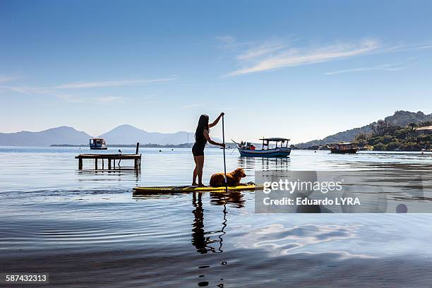 sand up paddle - florianópolis imagens e fotografias de stock