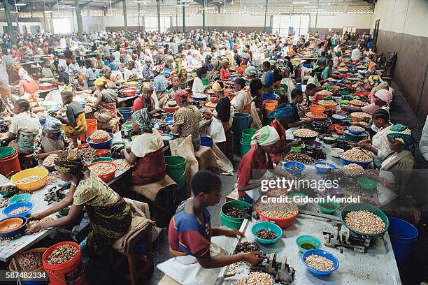 Women peel and grade cashew nuts by hand at a large processing factory in Mtwara, which employs 2,400 women. The pods are steamed, then the nut is...