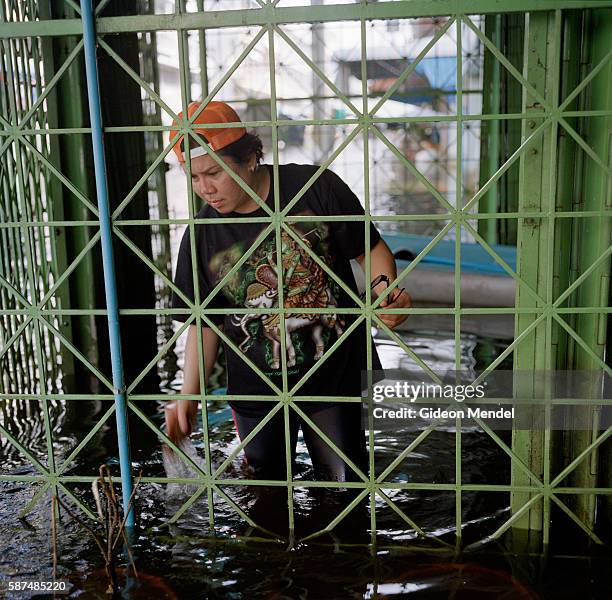 Kruemas Ruangkhetkarn cleans the rust and muck off the burglar bars at the front of her house in the flooded Taweewattana District on the western...