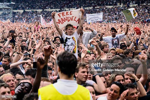 An audience member holds up a "Free Mandela" sign at the Nelson Mandela Freedom Festival at Clapham Common in London.