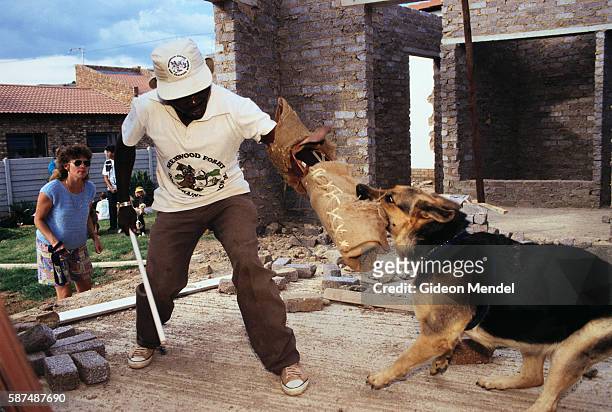 Animal trainers at Sherwood Forest Dog Training School in Johannesburg, South Africa, training fierce guard dogs. With increasing fears about...