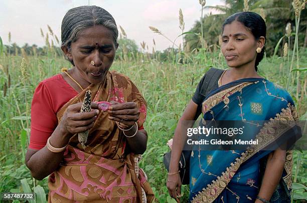 Village health worker gives an impromptu condom demonstration with the aid of a head of sorgum, to a farmer working in her fields. The health worker,...