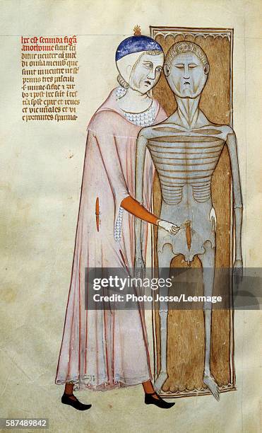 Human Dissection Underline 2 647 Human Dissection Stock Photos, High-Res Pictures, and Images ...
