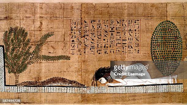 A deceased worshiping the crocodile, symbol of fertility. Papyrus of the Book of the Dead. Egyptian Museum, Cairo, Egypt