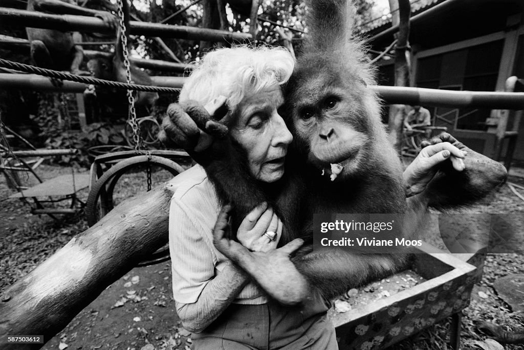 Caretaker Hugs Orangutan