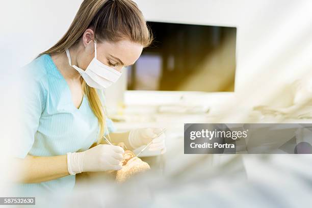dentista che indossa maschera esaminando paziente maschio - dentisti al lavoro foto e immagini stock