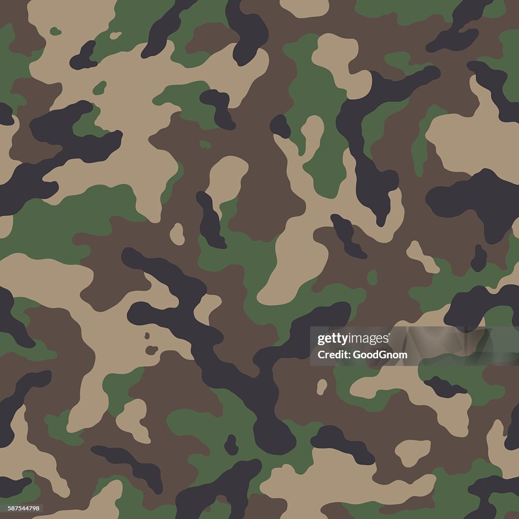 Camouflage seamless pattern