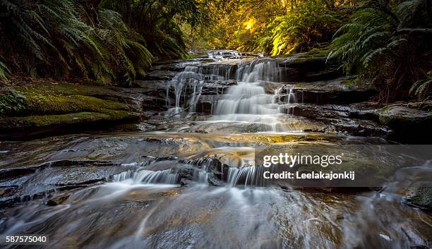 waterfalls in leura cascade - katoomba falls stock pictures, royalty-free photos & images