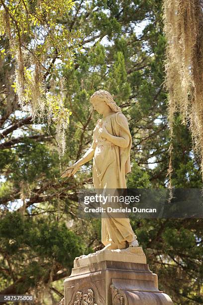 bonaventure cemetery - bonaventure cemetery stock pictures, royalty-free photos & images