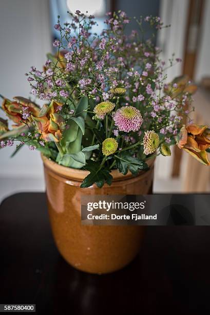 fresh flowers in a vase - dorte fjalland fotografías e imágenes de stock