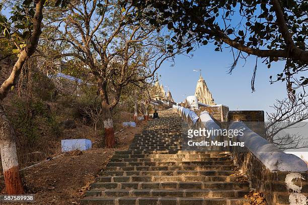 Palitana temples on Shatrunjaya hill, Gujarat, India.