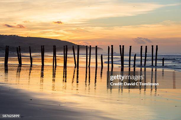 view along st clair beach at sunrise, dunedin - dunedin new zealand stock pictures, royalty-free photos & images