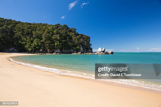 view along beach to split apple rock, kaiteriteri - kaiteriteri stockfoto's en -beelden