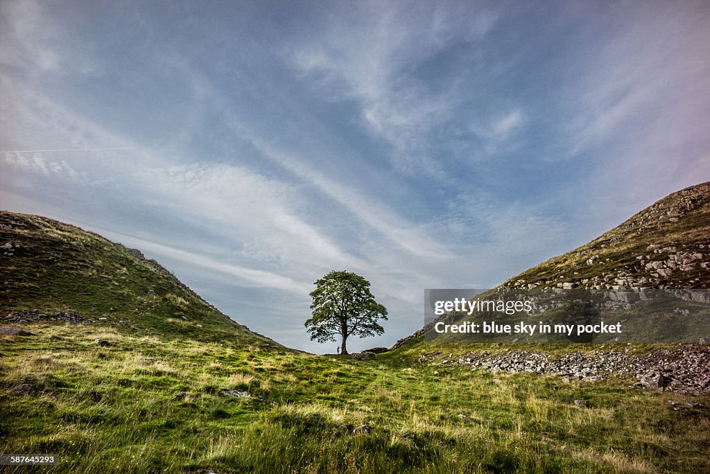 A young boy at Sycamore Gap on the Hadrians wall
