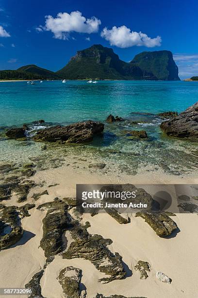 lord howe island - lhi stock pictures, royalty-free photos & images
